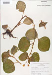 000005093-thumbnail.jpg