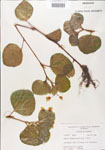 000005096-thumbnail.jpg