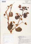 000005097-thumbnail.jpg