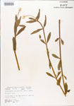 000005102-thumbnail.jpg