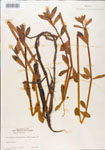 000005103-thumbnail.jpg