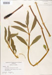 000005104-thumbnail.jpg