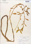000005105-thumbnail.jpg