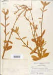 000005106-thumbnail.jpg