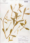000005108-thumbnail.jpg