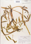 000005109-thumbnail.jpg