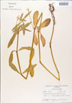 000005111-thumbnail.jpg