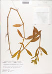 000005112-thumbnail.jpg