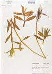 000005120-thumbnail.jpg