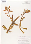 000005121-thumbnail.jpg