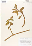 000005122-thumbnail.jpg