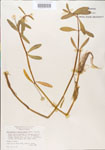 000005124-thumbnail.jpg