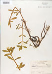 000005125-thumbnail.jpg