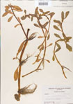 000005126-thumbnail.jpg