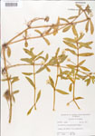 000005127-thumbnail.jpg