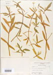 000005128-thumbnail.jpg