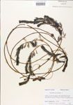 000005131-thumbnail.jpg