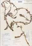 000005133-thumbnail.jpg