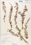 000005134-thumbnail.jpg