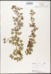 000005147-thumbnail.jpg