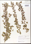 000005148-thumbnail.jpg