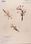 000006493-thumbnail.jpg