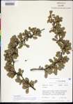 000007411-thumbnail.jpg