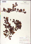 000007443-thumbnail.jpg