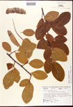 000007575-thumbnail.jpg