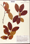 000007599-thumbnail.jpg