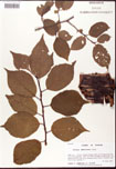 000007615-thumbnail.jpg