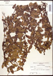 000007912-thumbnail.jpg