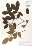 000008001-thumbnail.jpg