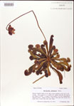 000009265-thumbnail.jpg