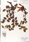 000009282-thumbnail.jpg