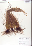 000010412-thumbnail.jpg