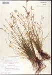 000010415-thumbnail.jpg