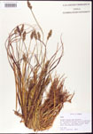 000010663-thumbnail.jpg