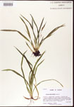 000010664-thumbnail.jpg