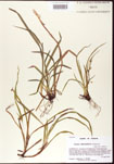 000010665-thumbnail.jpg