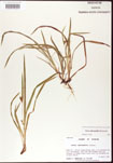 000010666-thumbnail.jpg