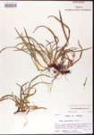 000010667-thumbnail.jpg