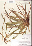 000010668-thumbnail.jpg