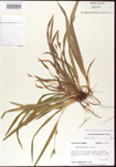 000010669-thumbnail.jpg