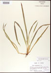 000010670-thumbnail.jpg