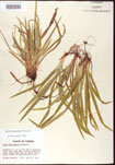 000010671-thumbnail.jpg
