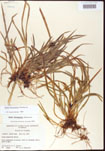 000010672-thumbnail.jpg