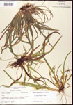 000010673-thumbnail.jpg