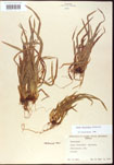000010674-thumbnail.jpg