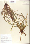 000010675-thumbnail.jpg